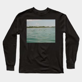 Ducks in a lake Long Sleeve T-Shirt